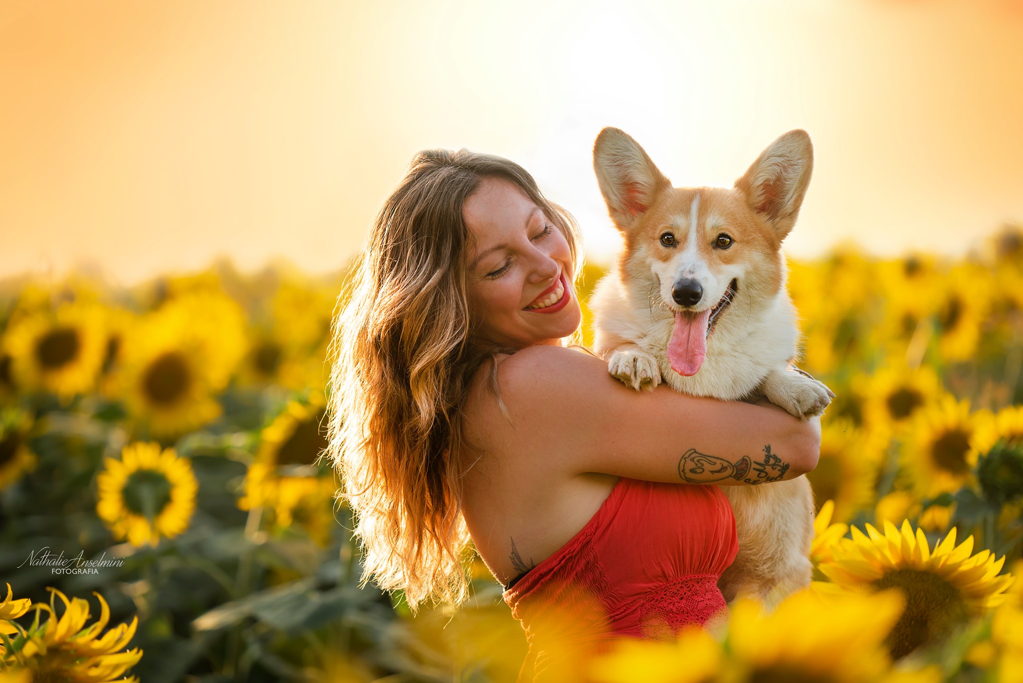 118726186_977247112794155_8110391921073721474_n