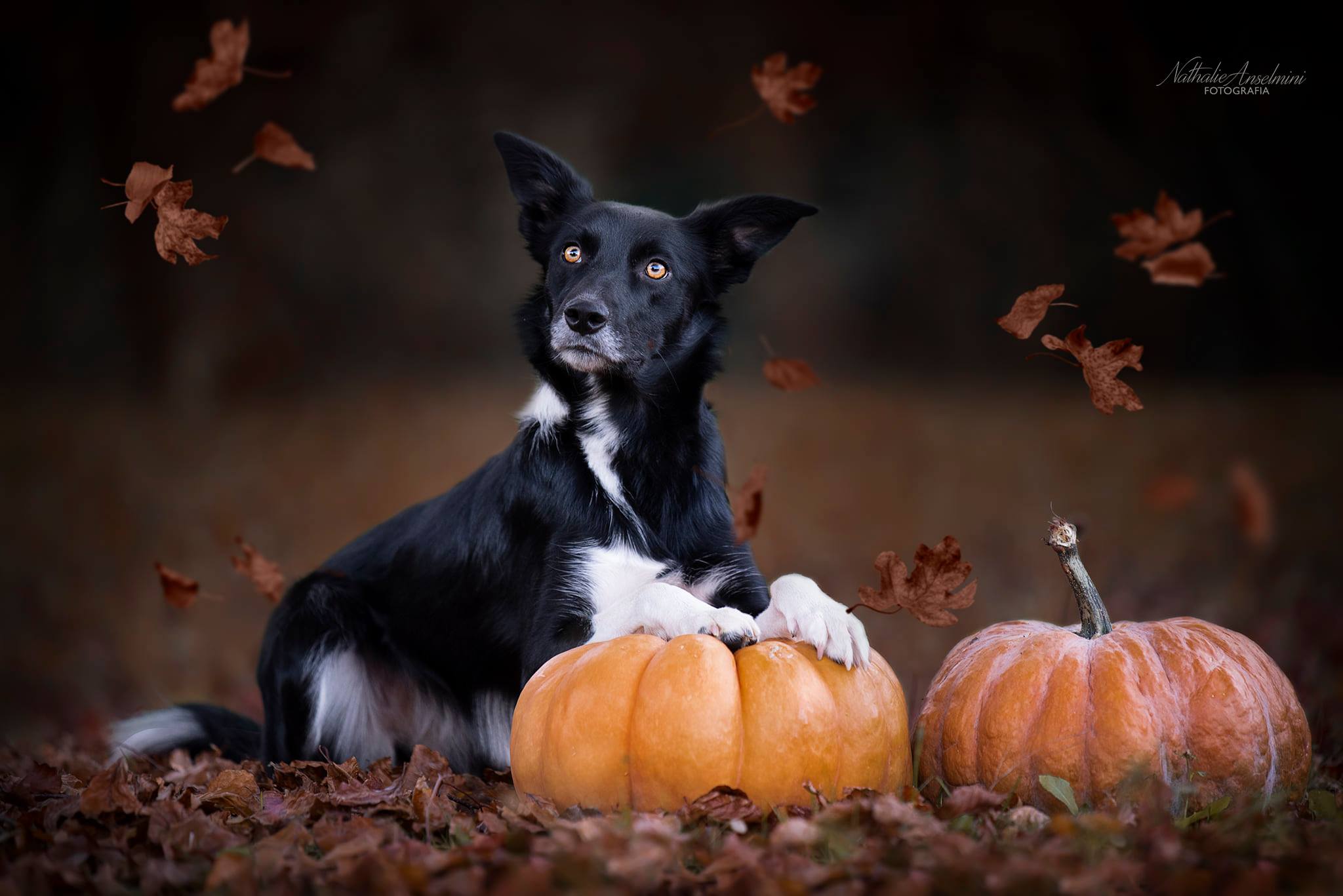 123201509_1024903208028545_7999417108576071251_n