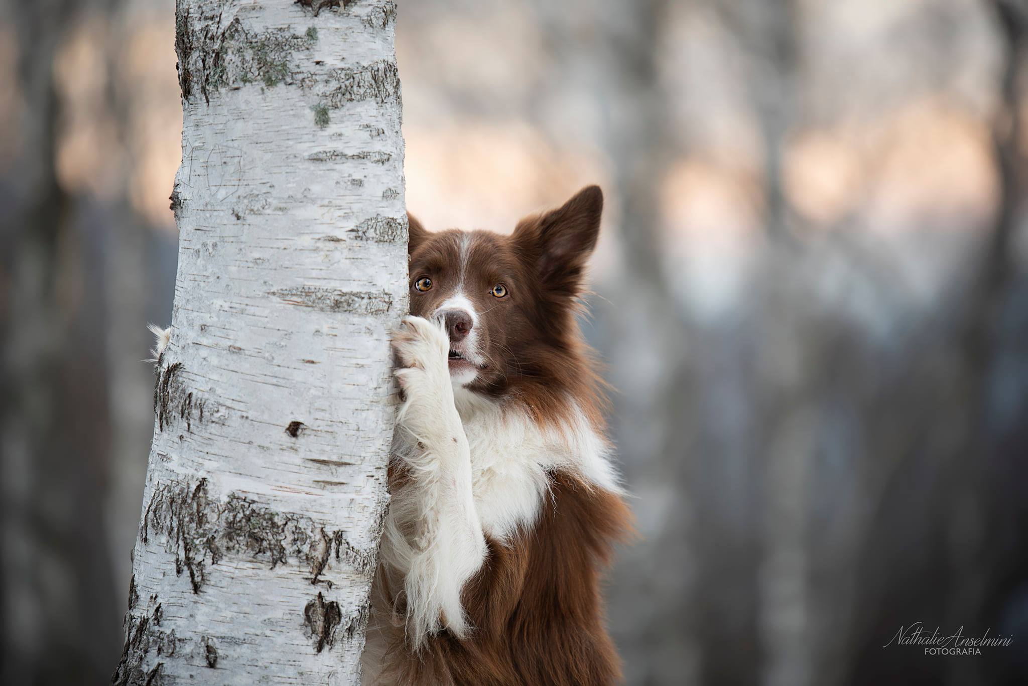 135308156_1071292856722913_3575508400955938518_n