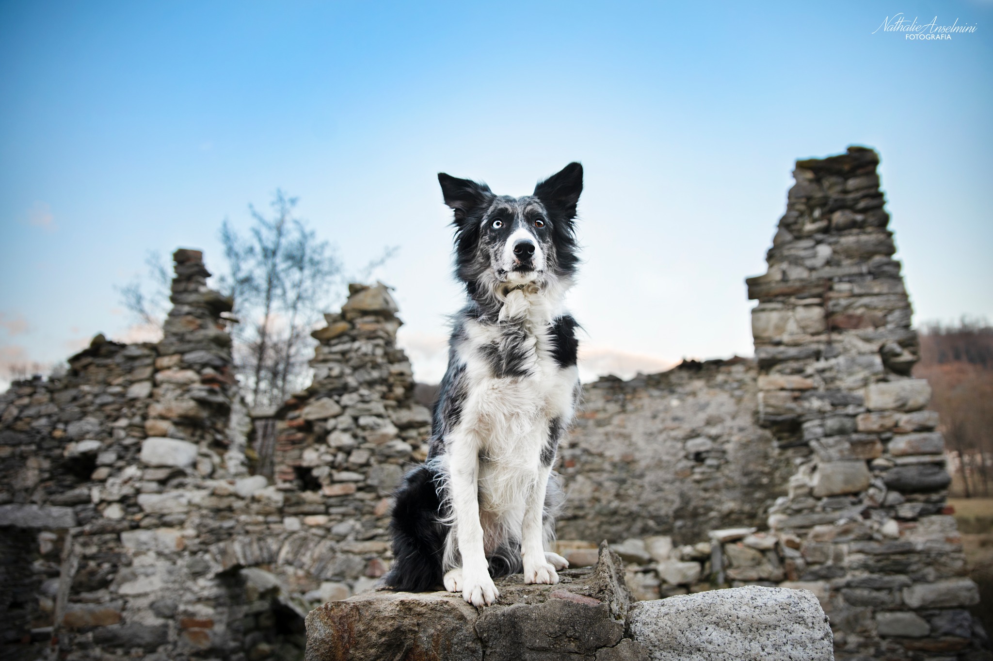 336164748_5804858129639955_4269432203499098278_n