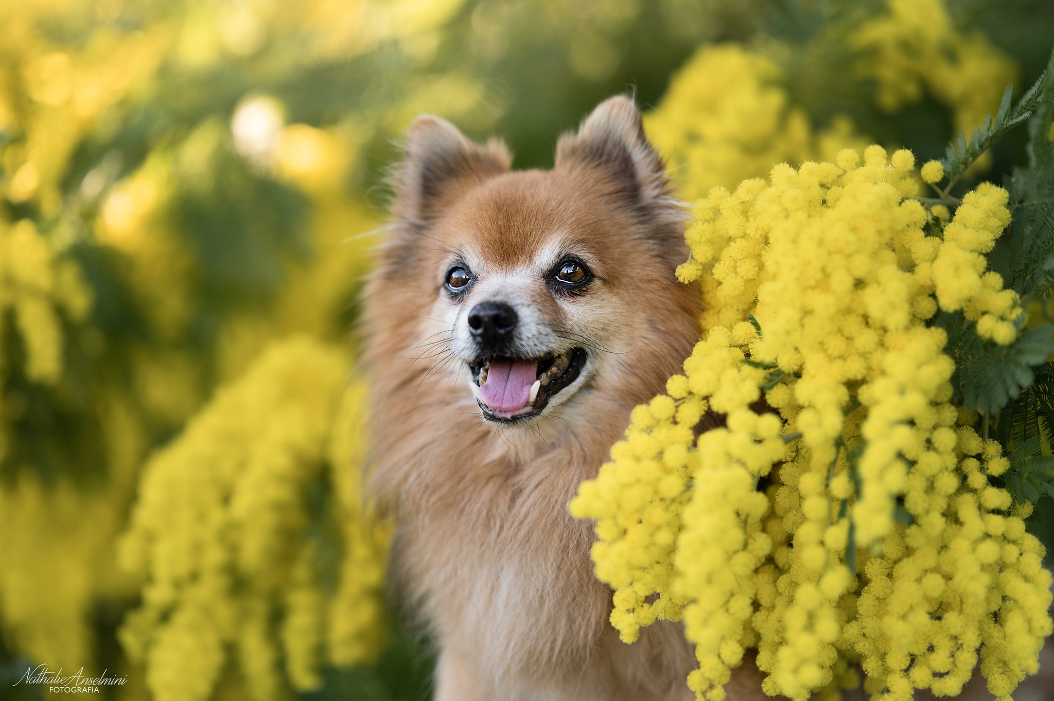 436410297_947960700667208_2424388276419319626_n