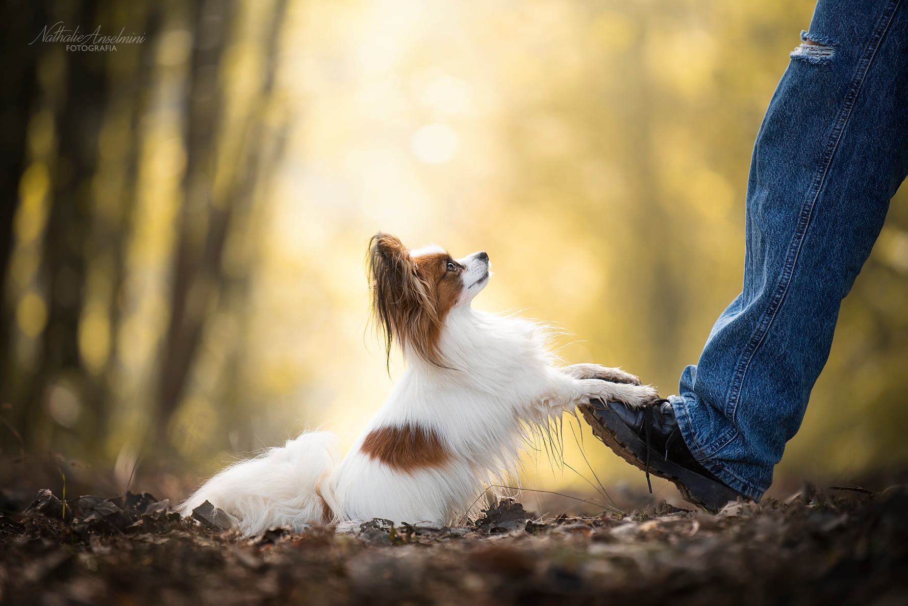 471599718_2076460029539519_3219472254199144230_n