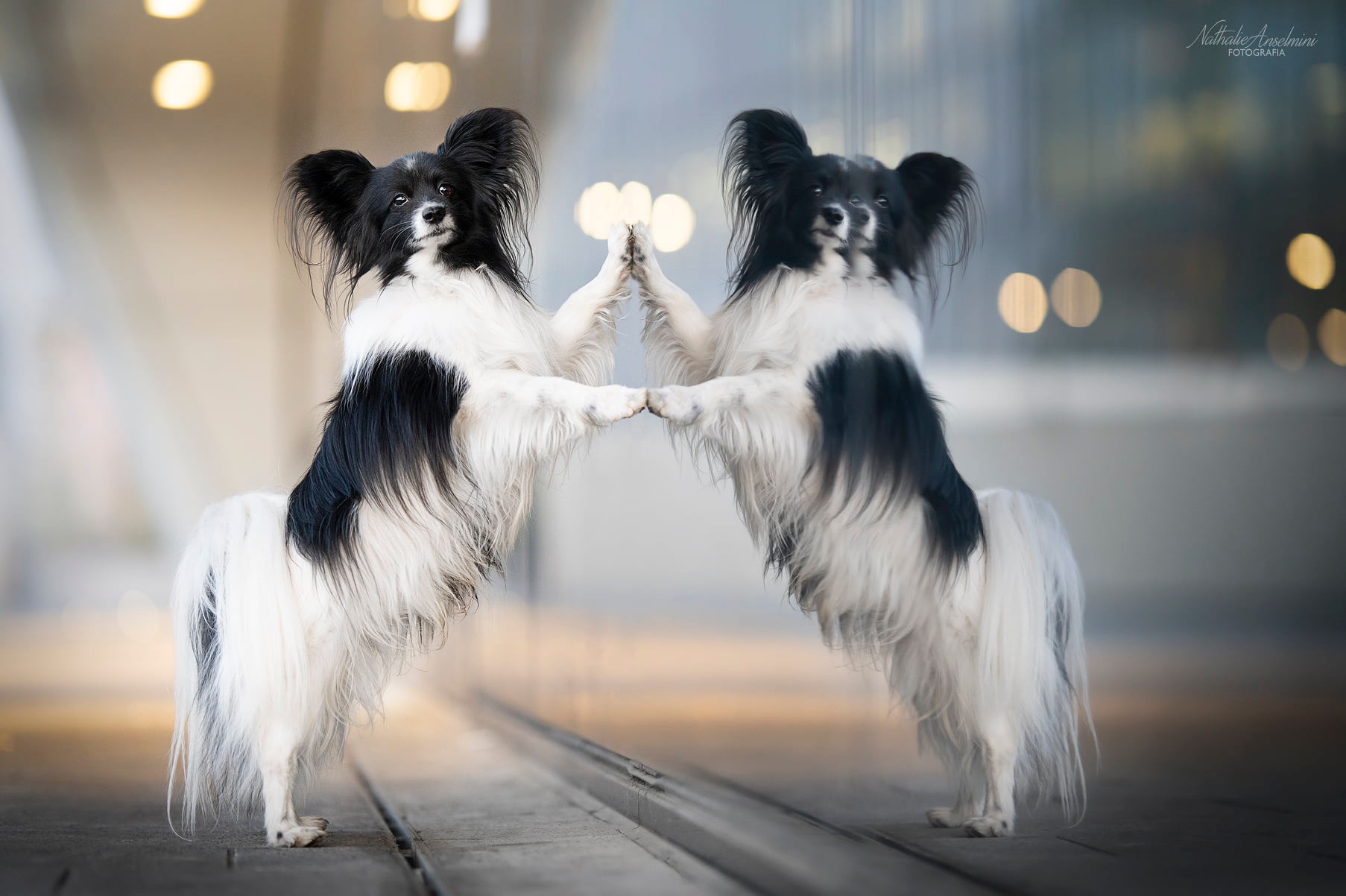 476458253_2110078049511050_473567043955275548_n